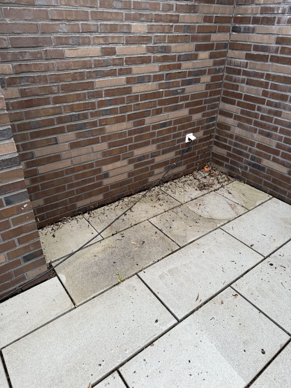 Steinterrasse Hochdruckreinigung St. Pauli - Professionelle Steinreinigung