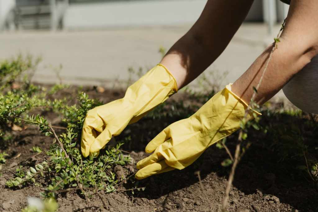 Reinigung – UA Cleaning Hamburg